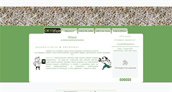 Desktop Screenshot of ortopedia.fizjopedia.pl